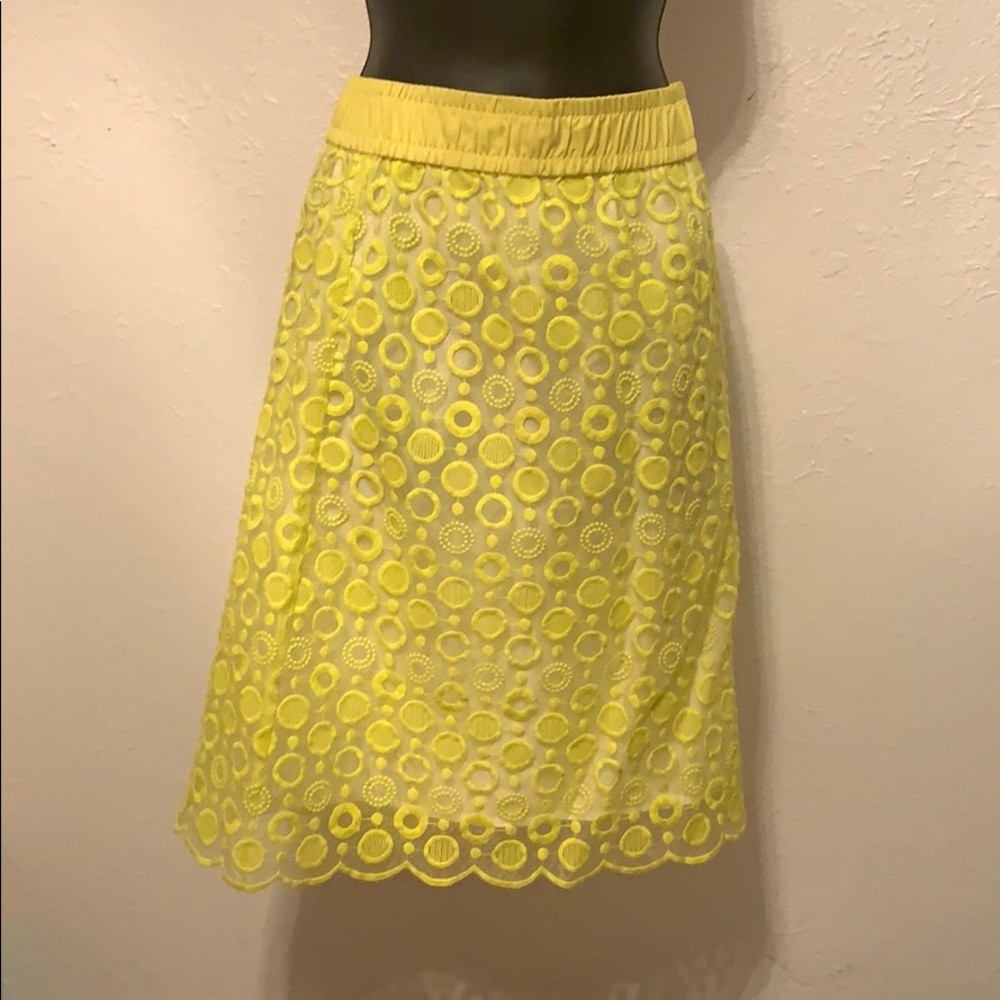 Liz Claiborne Skirt